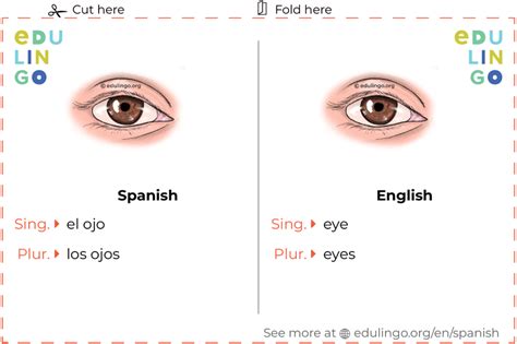 Eyes in Spanish .